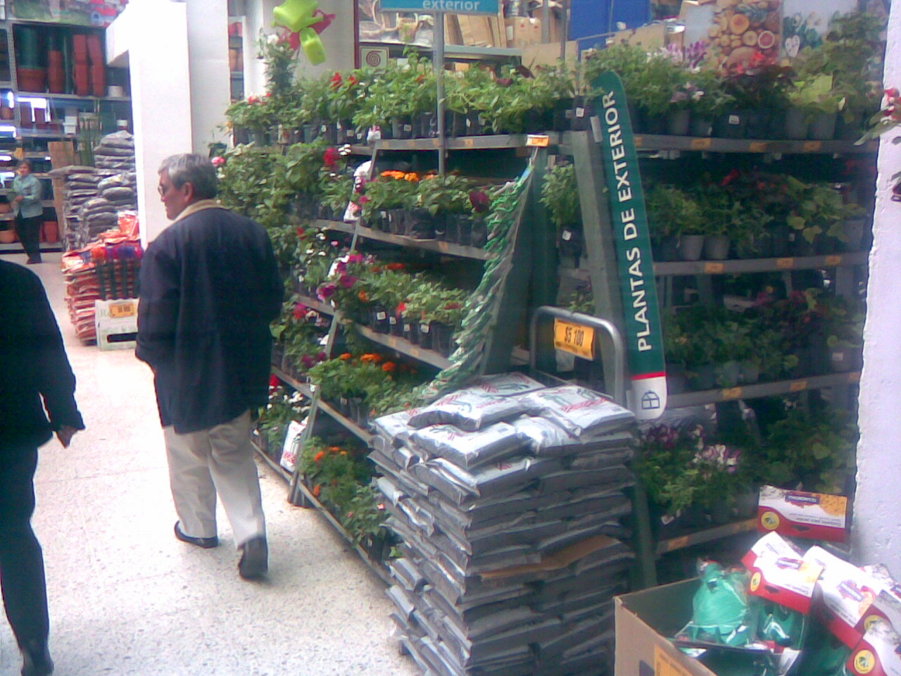 plantas vivas en estanterías planta viva vivero jardín estante para plantas vivas mostrador exhibidor de plantas vivas mostrador de plantas vivas en repisa armario tarima estantes de matas 0014 plantas vivas en estanterías planta viva vivero jardín estante para plantas vivas mostrador exhibidor de plantas vivas mostrador de plantas vivas en repisa armario tarima estantes de matas 0014